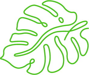 leaf image which appears on the screen