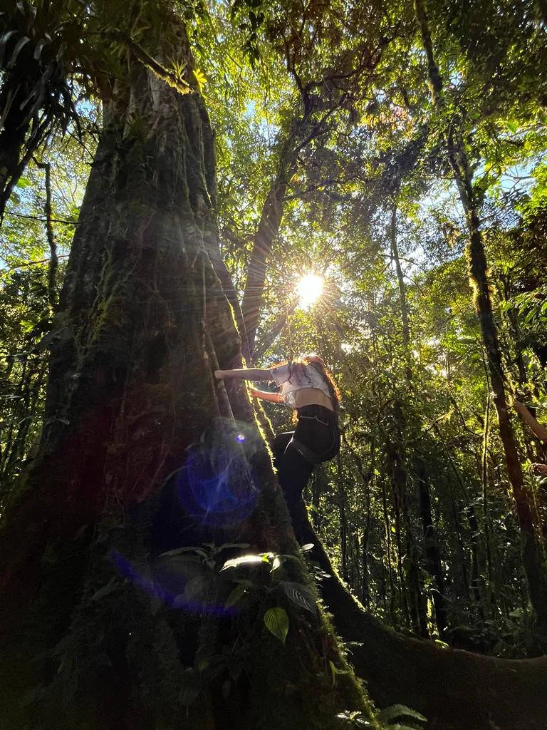 teenager starting the climbing