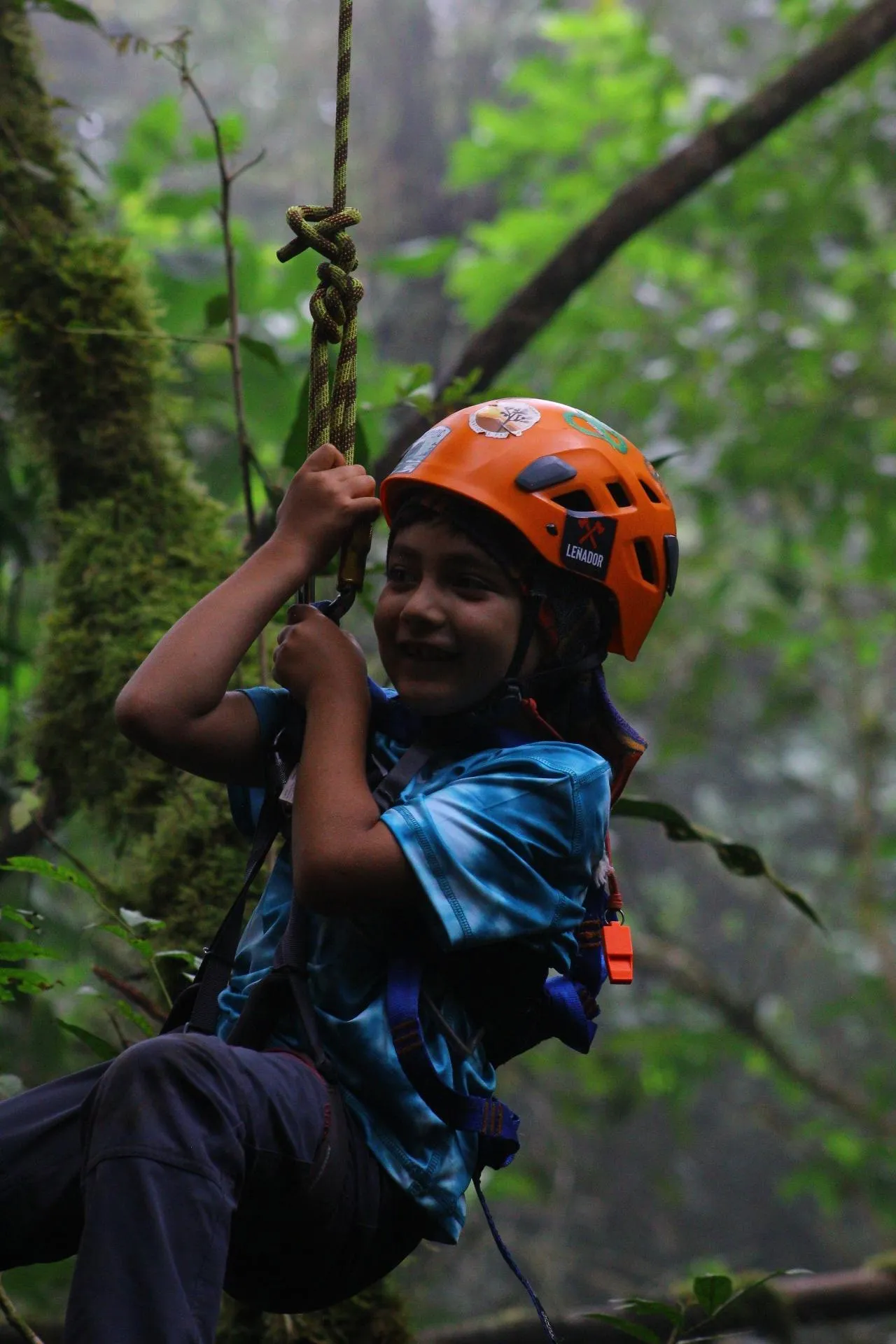 Kid smiling as he climbs a tree