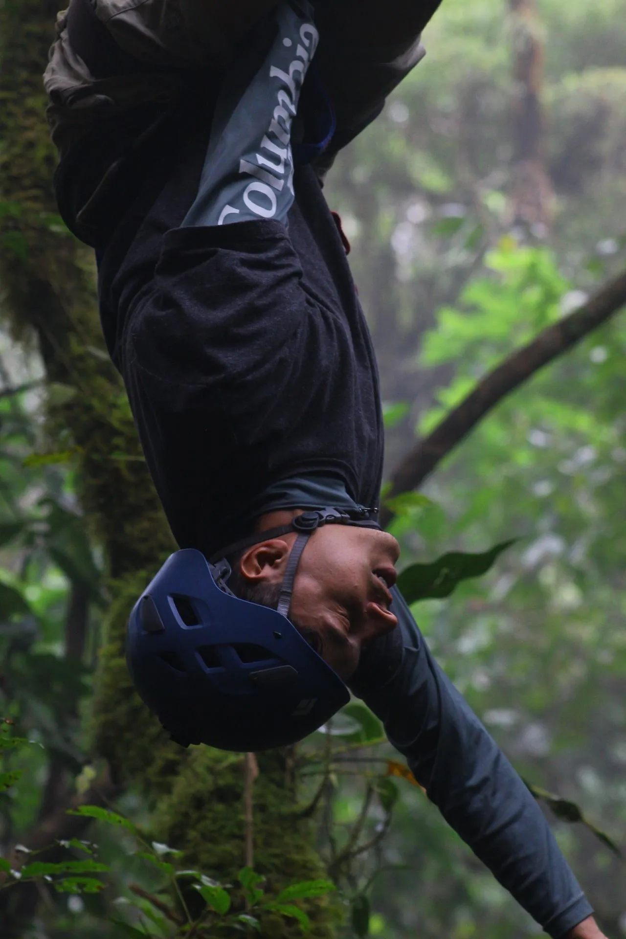 man climbing down a tree with a harness