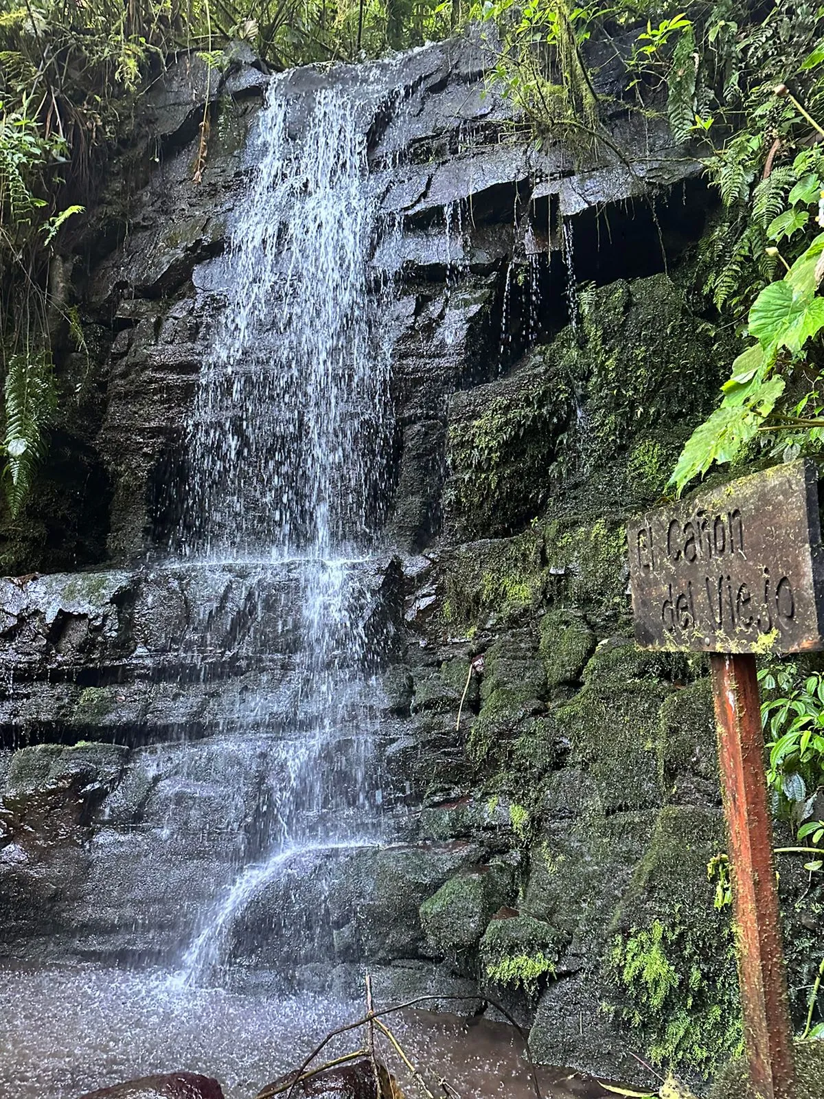 Cañon el viejo waterfall picture